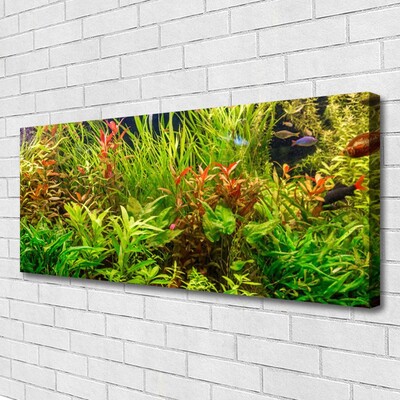 Quadro canvas Plantas para peixes de aquário