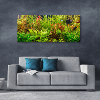 Quadro canvas Plantas para peixes de aquário