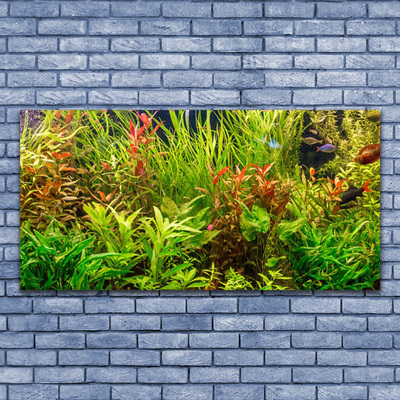Quadro canvas Plantas para peixes de aquário