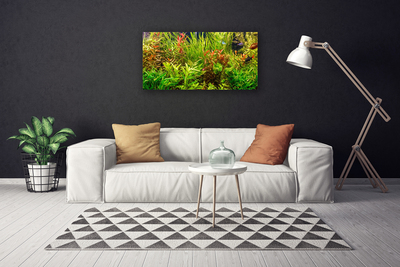 Quadro canvas Plantas para peixes de aquário