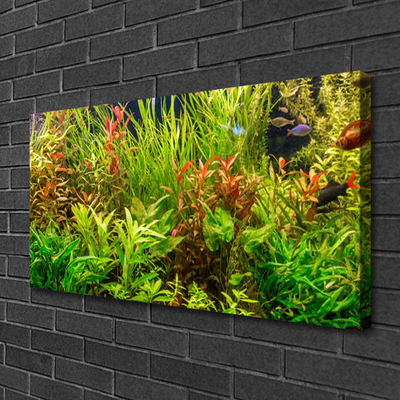 Quadro canvas Plantas para peixes de aquário