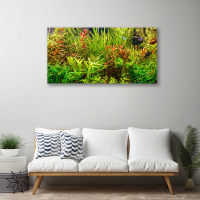 Quadro canvas Plantas para peixes de aquário