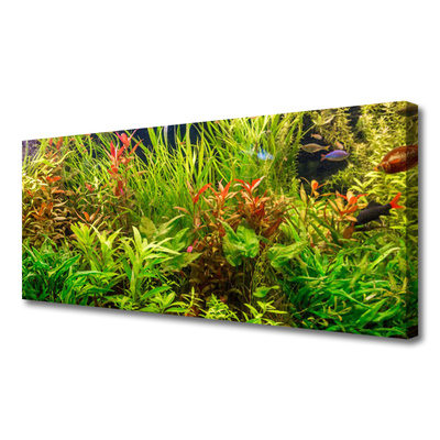 Quadro canvas Plantas para peixes de aquário