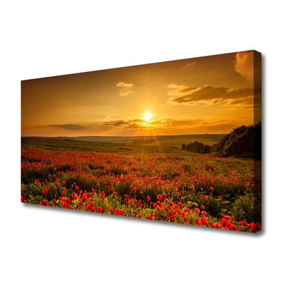 Quadro canvas Campo de papoulas Sunset Meadow