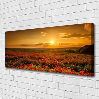 Quadro canvas Campo de papoulas Sunset Meadow