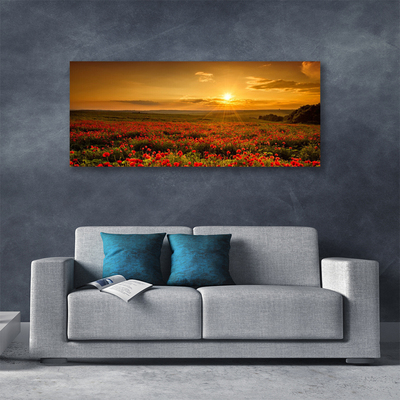 Quadro canvas Campo de papoulas Sunset Meadow