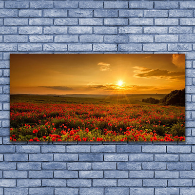 Quadro canvas Campo de papoulas Sunset Meadow
