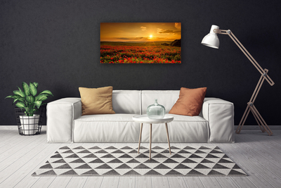 Quadro canvas Campo de papoulas Sunset Meadow