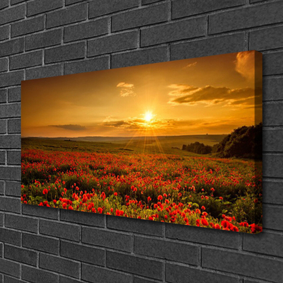 Quadro canvas Campo de papoulas Sunset Meadow