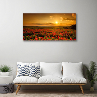 Quadro canvas Campo de papoulas Sunset Meadow