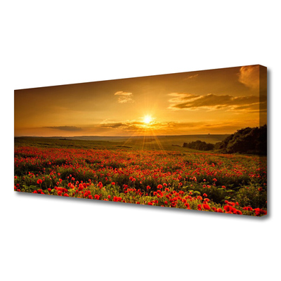 Quadro canvas Campo de papoulas Sunset Meadow
