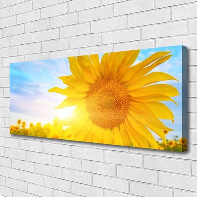 Quadro em tela Flor de Girassol Sol