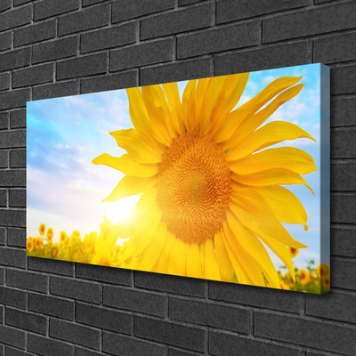 Quadro em tela Flor de Girassol Sol