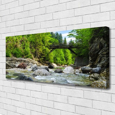 Quadro canvas Ponte de madeira na floresta