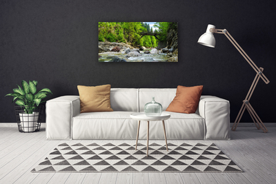 Quadro canvas Ponte de madeira na floresta