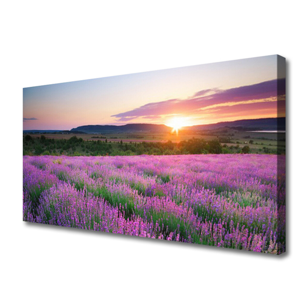 Quadro canvas Pôr do sol nos campos de lavanda