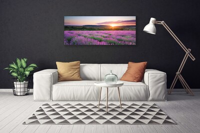 Quadro canvas Pôr do sol nos campos de lavanda
