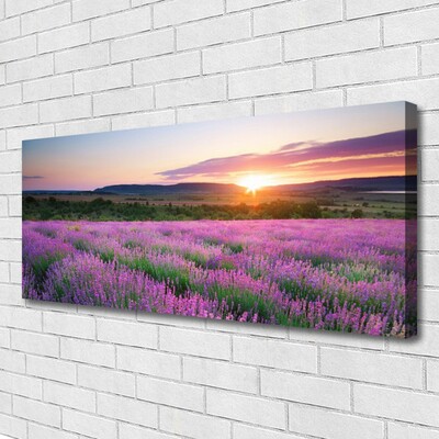 Quadro canvas Pôr do sol nos campos de lavanda
