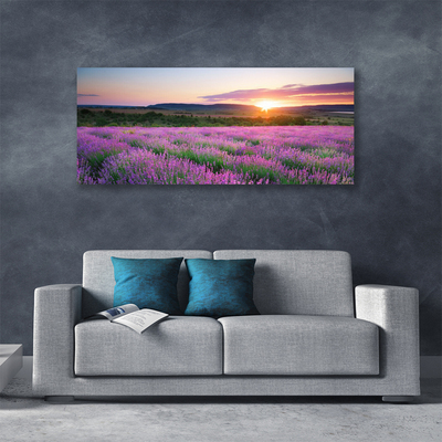 Quadro canvas Pôr do sol nos campos de lavanda