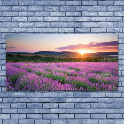 Quadro canvas Pôr do sol nos campos de lavanda
