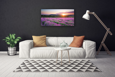 Quadro canvas Pôr do sol nos campos de lavanda