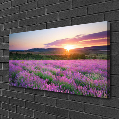 Quadro canvas Pôr do sol nos campos de lavanda