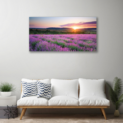 Quadro canvas Pôr do sol nos campos de lavanda