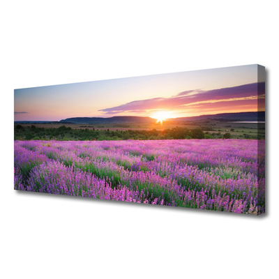 Quadro canvas Pôr do sol nos campos de lavanda
