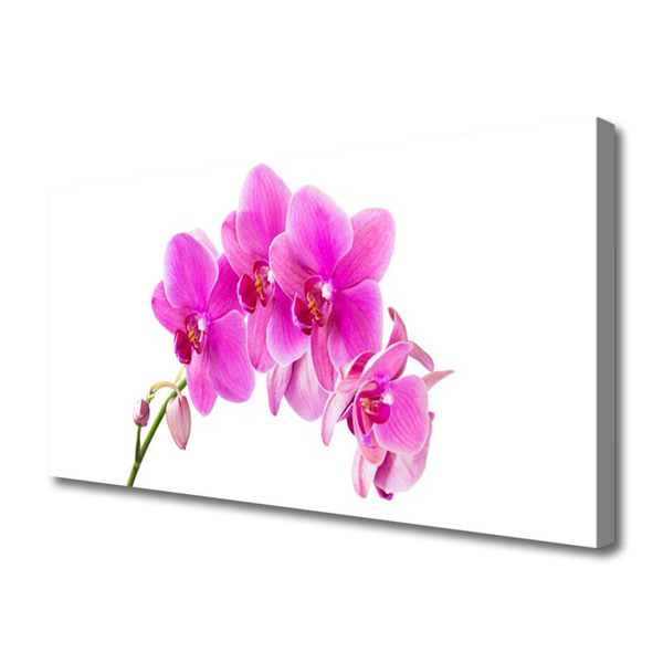 Quadro canvas Flor de orquídea Orquídea