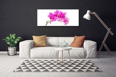 Quadro canvas Flor de orquídea Orquídea