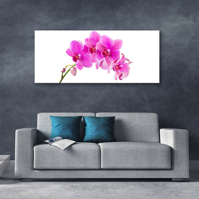 Quadro canvas Flor de orquídea Orquídea