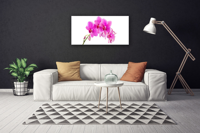 Quadro canvas Flor de orquídea Orquídea