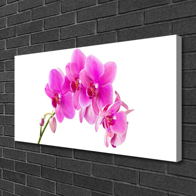 Quadro canvas Flor de orquídea Orquídea