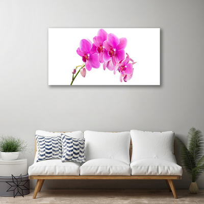 Quadro canvas Flor de orquídea Orquídea