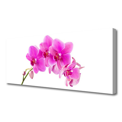 Quadro canvas Flor de orquídea Orquídea