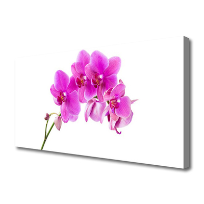 Quadro em tela Flor de orquídea Orquídea