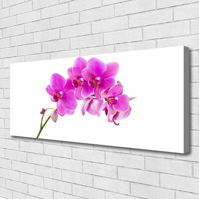Quadro em tela Flor de orquídea Orquídea