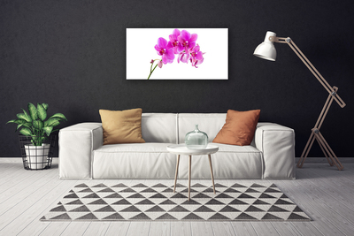 Quadro em tela Flor de orquídea Orquídea