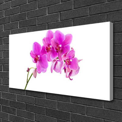 Quadro em tela Flor de orquídea Orquídea