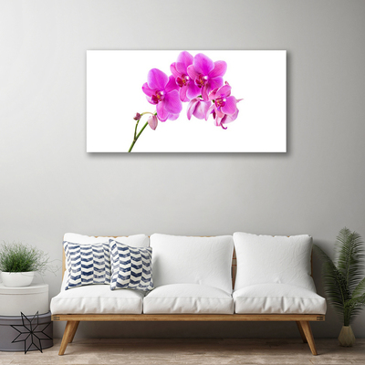 Quadro em tela Flor de orquídea Orquídea