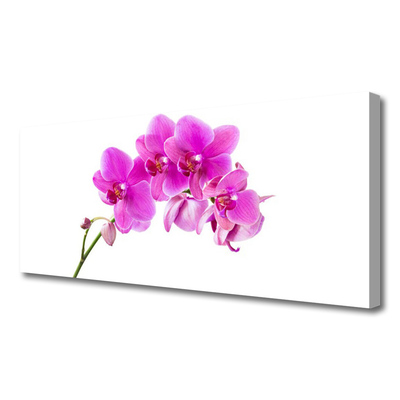 Quadro em tela Flor de orquídea Orquídea
