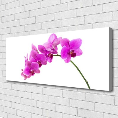 Quadro canvas Flor de orquídea Orquídea