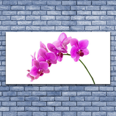 Quadro canvas Flor de orquídea Orquídea