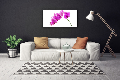 Quadro canvas Flor de orquídea Orquídea