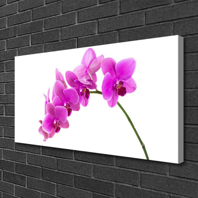 Quadro canvas Flor de orquídea Orquídea