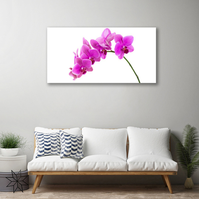 Quadro canvas Flor de orquídea Orquídea