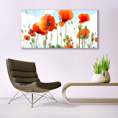 Quadro em tela Flores Papoulas Prado Campo Natureza