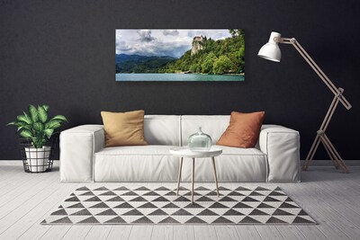 Quadro canvas Castelo na paisagem florestal das montanhas