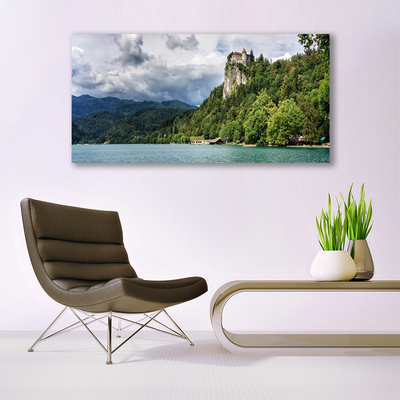 Quadro canvas Castelo na paisagem florestal das montanhas