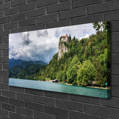 Quadro canvas Castelo na paisagem florestal das montanhas